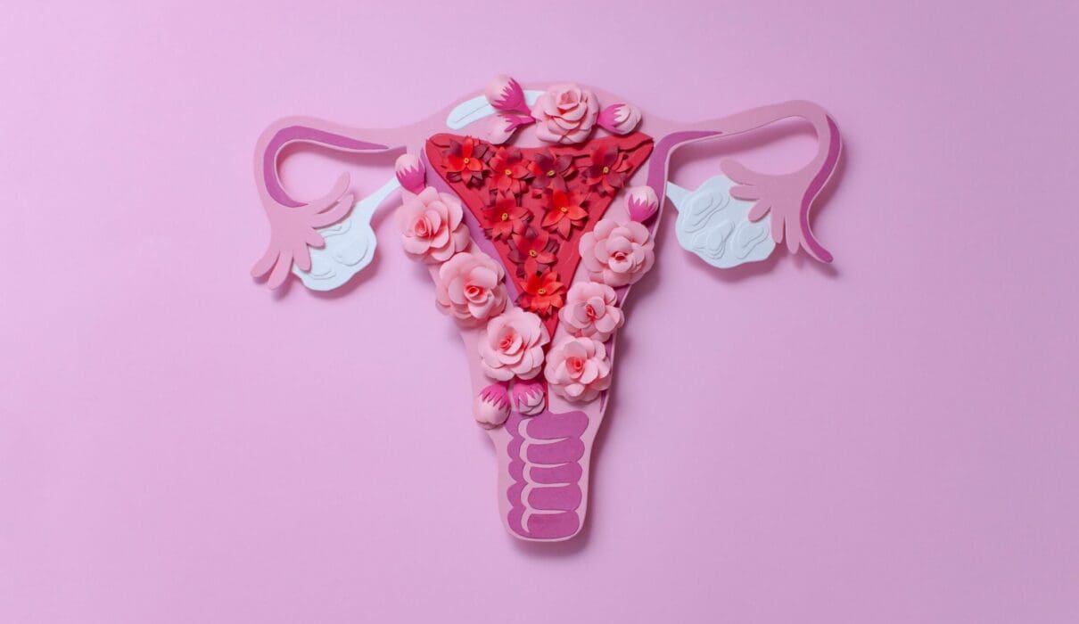 Female reproductive organs - MyDr.com.au