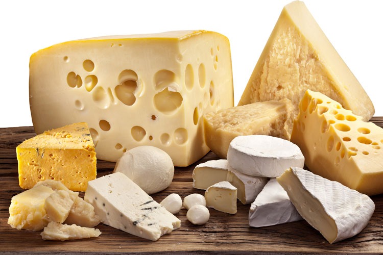 Cheese in the diet Cheese in the diet