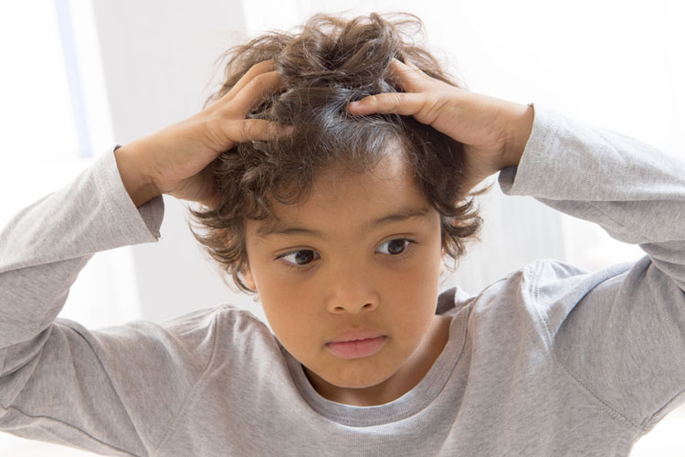 Headlice Mydr Com Au