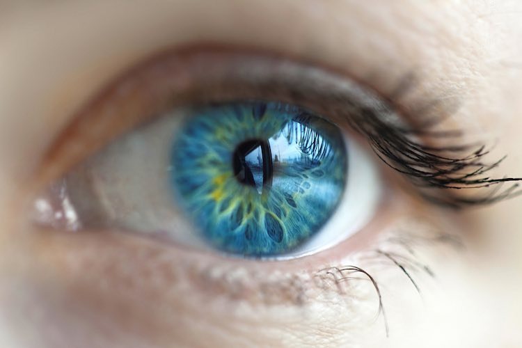 Corneal injuries
