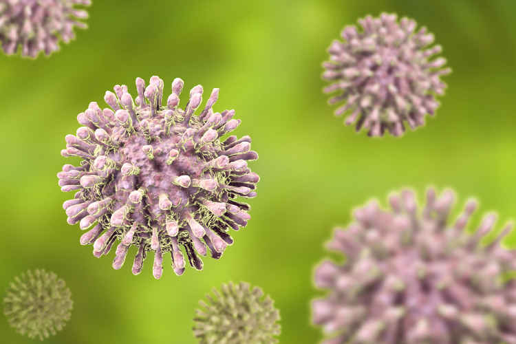 coccidioidomicosi+prostatica+ingrossata
