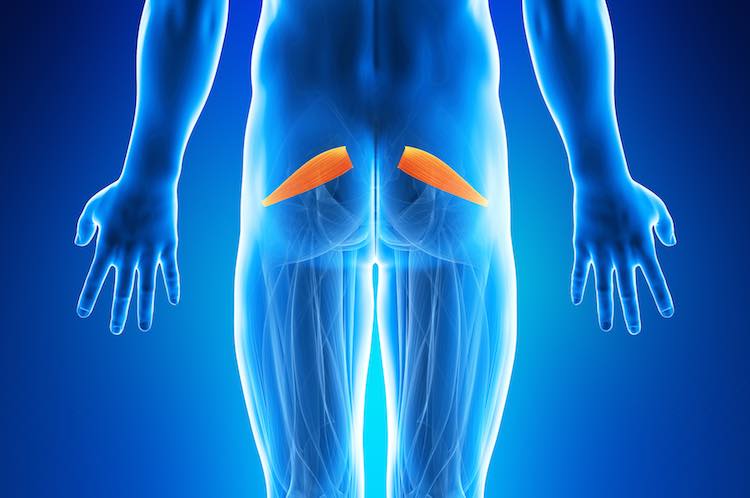 Piriformis syndrome - myDr.com.au
