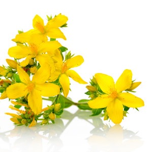 St John's wort adverse reactions highlighted - MyDr.com.au
