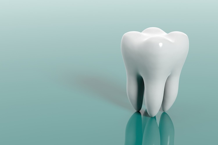 Tooth anatomy - myDr.com.au