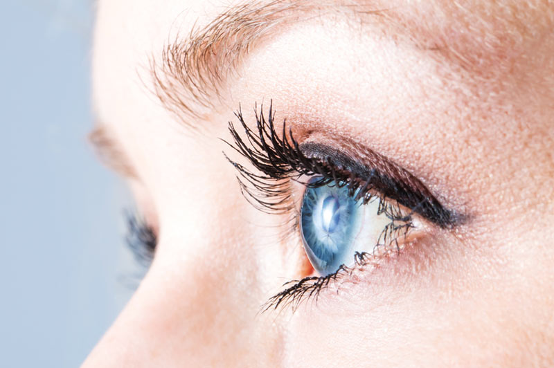 Macular Degeneration Tool